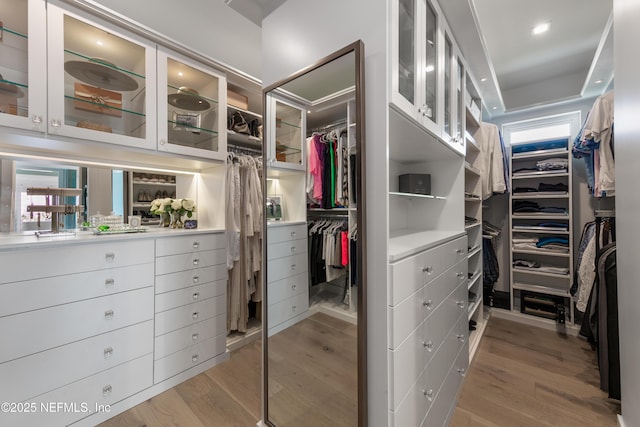 spacious closet featuring light wood-style flooring