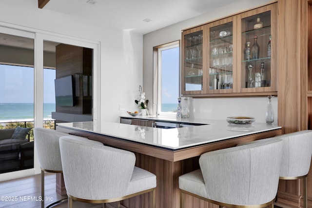 bar featuring a water view, wood finished floors, and a wealth of natural light