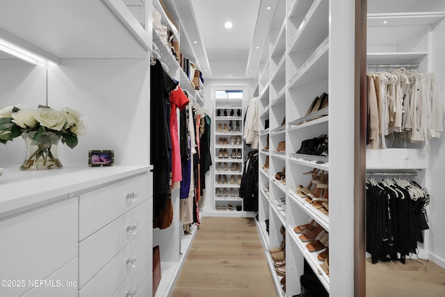 walk in closet with light wood finished floors