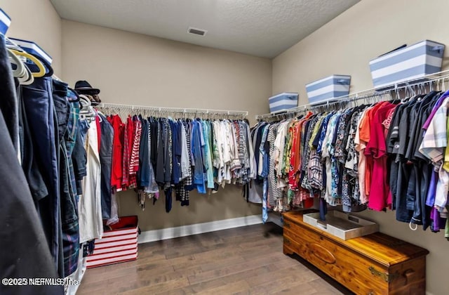 696 Broomsedge Cir, Saint Augustine, FL 32095 - spacious closet with visible vents and wood finished floors