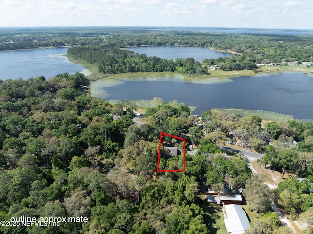drone / aerial view featuring a forest view and a water view