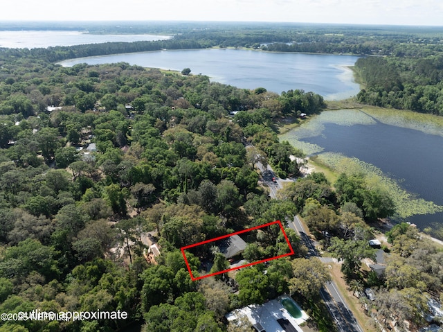 drone / aerial view featuring a forest view and a water view