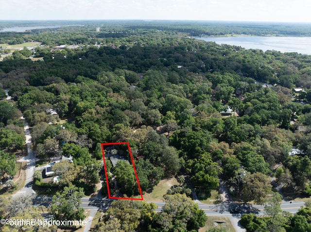 drone / aerial view with a forest view and a water view