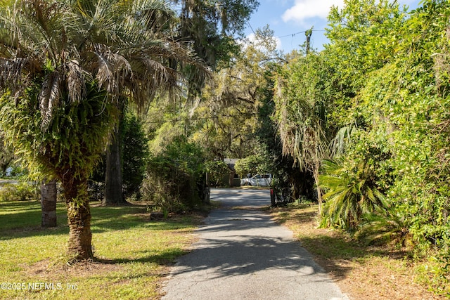 view of street featuring aphalt driveway