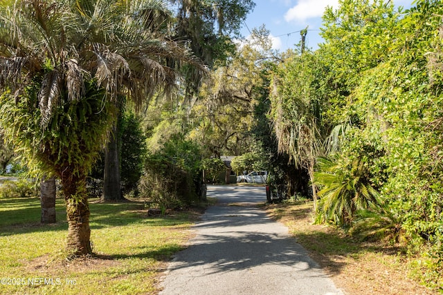 view of street with driveway