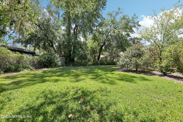 2815 Sylvan Ln S, Jacksonville, FL 32257 - view of yard