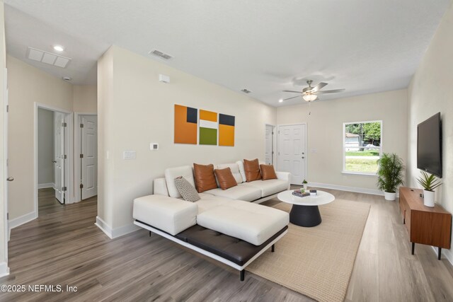 8764 Buttercup St, Jacksonville, FL 32210 - photo 9