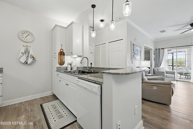 115 Legendary Dr Unit 106, Saint Augustine, FL 32902 - kitchen featuring crown molding, ceiling fan, a sink, dishwasher, and open floor plan