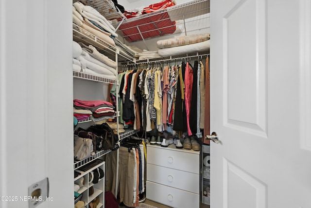 115 Legendary Dr Unit 106, Saint Augustine, FL 32902 - view of walk in closet