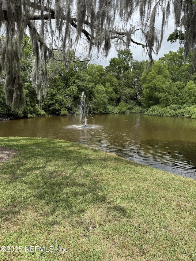 4334 Plaza Gate Ln S Unit 202, Jacksonville, FL 32217 - view of water feature