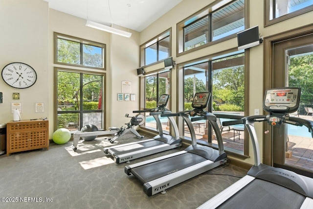 100 Fairway Park Blvd Unit 1101, Ponte Vedra Beach, FL 32082 - exercise room featuring a high ceiling, healthy amount of natural light, and carpet flooring