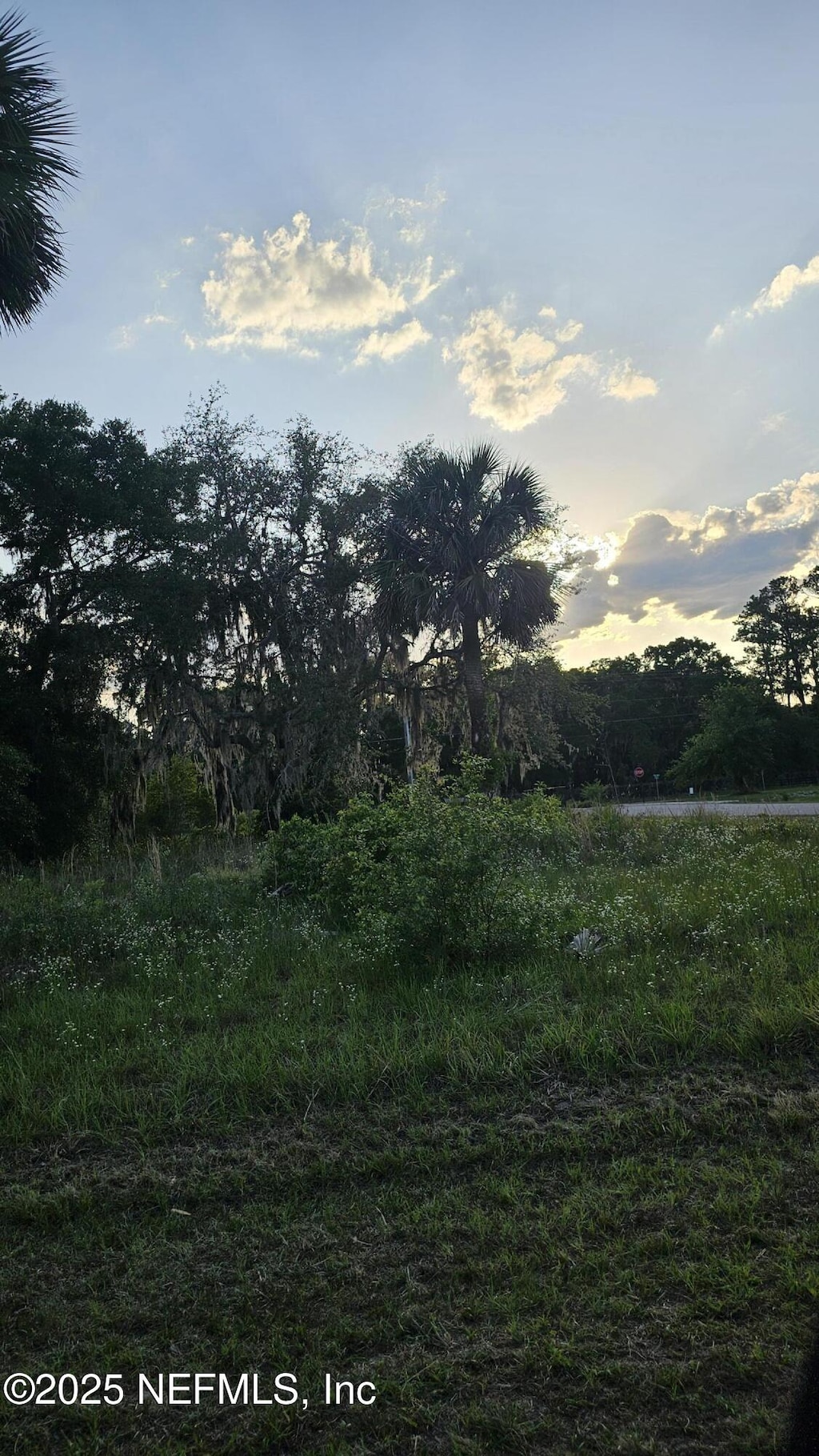 541 Live Oak Loop, Crescent City, FL 32112