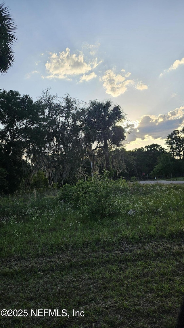 541 Live Oak Loop, Crescent City, FL 32112