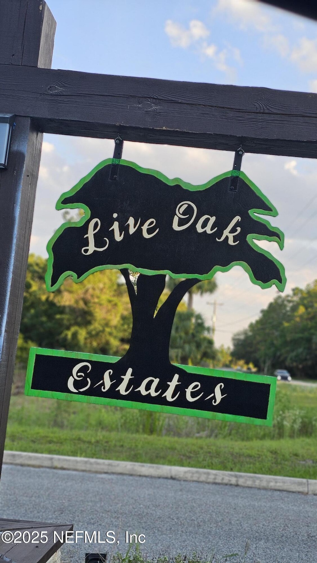 541 Live Oak Loop, Crescent City, FL 32112