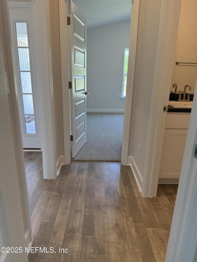 8340 Helmsley Blvd, Jacksonville, FL 32219 - hallway with wood finished floors, a sink, and baseboards