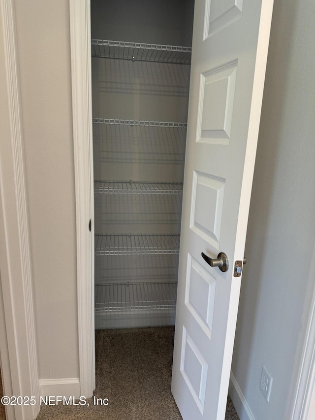 8340 Helmsley Blvd, Jacksonville, FL 32219 - view of closet