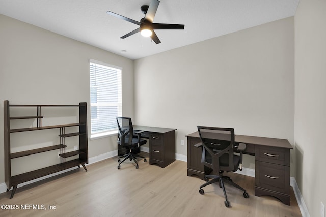 251 Dosel Ln, Saint Augustine, FL 32095 - office featuring light wood-type flooring, baseboards, and ceiling fan