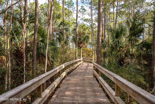 251 Dosel Ln, Saint Augustine, FL 32095 - view of property's community