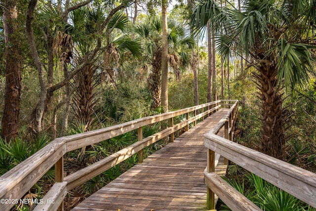 251 Dosel Ln, Saint Augustine, FL 32095 - view of community
