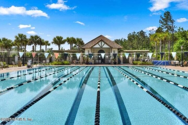 251 Dosel Ln, Saint Augustine, FL 32095 - pool with fence