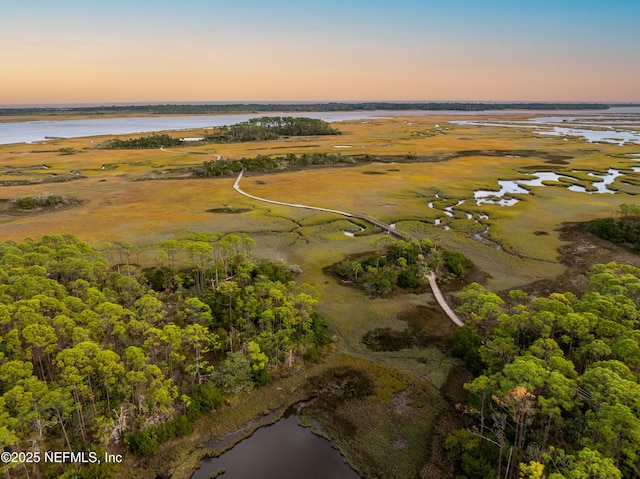 251 Dosel Ln, Saint Augustine, FL 32095 - aerial view at dusk with a water view