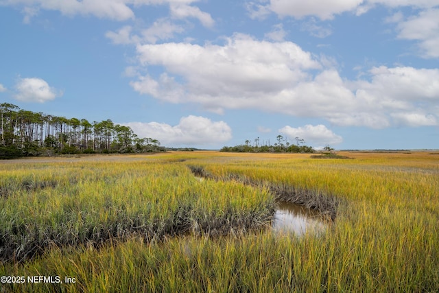 251 Dosel Ln, Saint Augustine, FL 32095 - view of nature