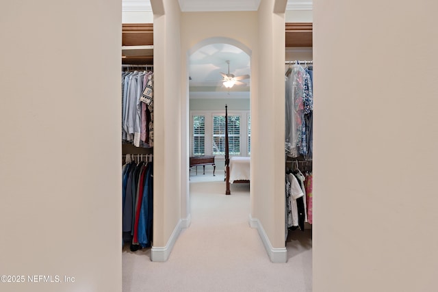 101 Dahlia Ct, Ponte Vedra Beach, FL 32082 - hallway with crown molding, carpet flooring, and arched walkways