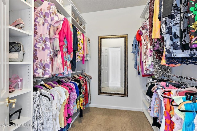 3241 Sequoyah Cir, Saint Johns, FL 32259 - walk in closet with carpet floors