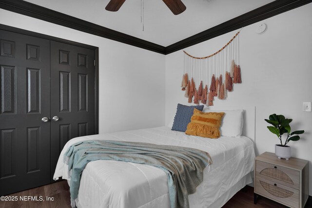 bedroom featuring ceiling fan, ornamental molding, wood finished floors, and a closet