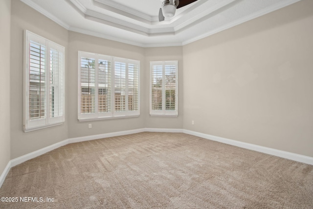 spare room featuring carpet flooring, baseboards, a ceiling fan, crown molding, and a raised ceiling