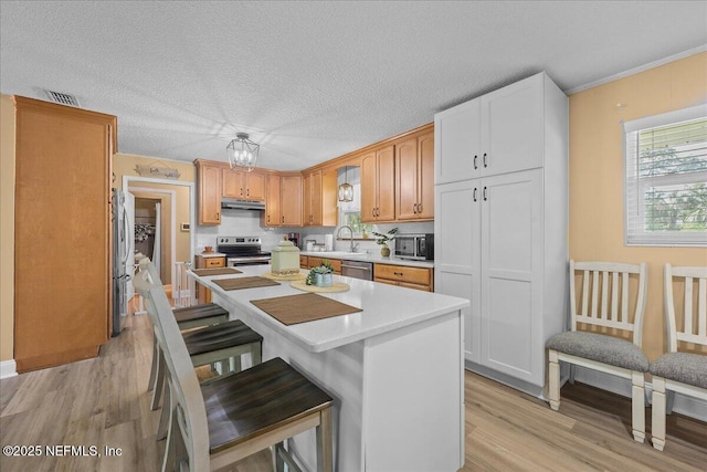226 E Minnesota Ave, Macclenny, FL 32063 - kitchen featuring light wood-style flooring, a sink, stainless steel appliances, under cabinet range hood, and light countertops