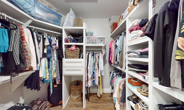 spacious closet featuring wood finished floors