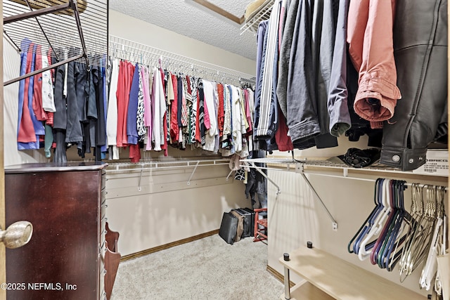 2629 Sandlewood Cir, Orange Park, FL 32065 - walk in closet featuring carpet flooring