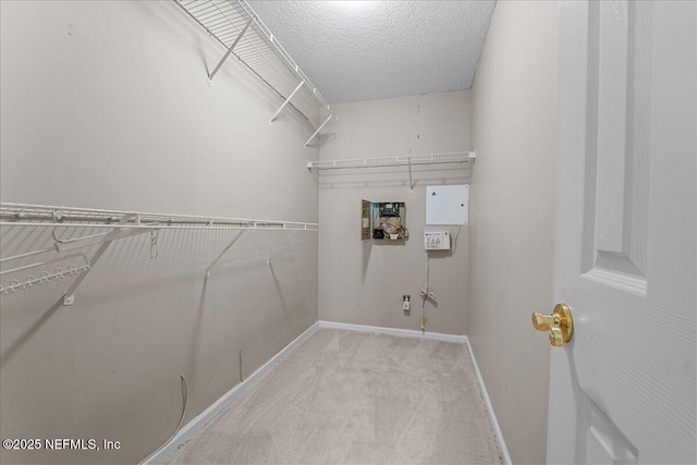 1884 Lake Forest Ln, Fleming Island, FL 32003 - laundry area featuring a textured ceiling, baseboards, carpet floors, and laundry area