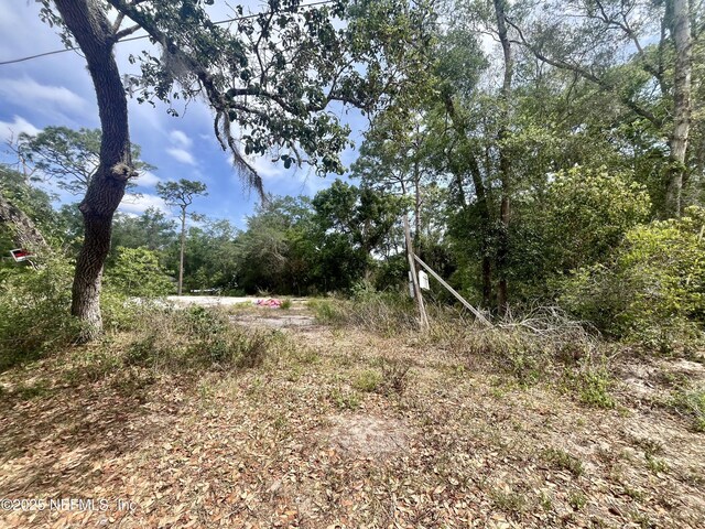 235 Garden St, Deland, FL 32720 - photo 5