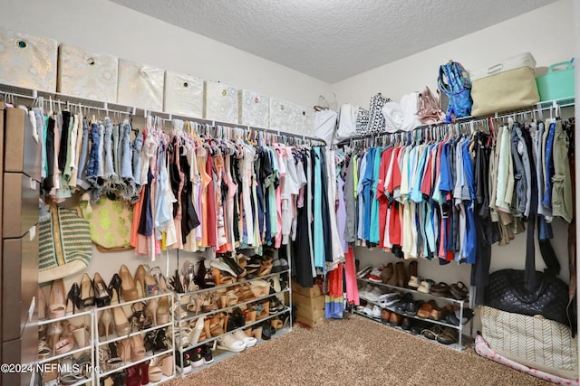 2235 Falling Star Ln, Green Cove Springs, FL 32043 - spacious closet featuring carpet flooring