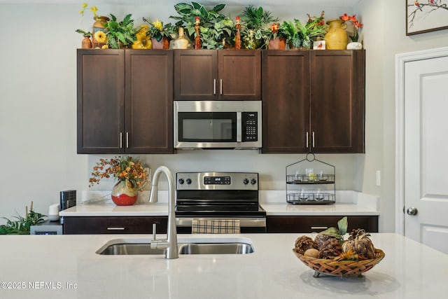 312 Anthony Dr, Jacksonville, FL 32218 - kitchen featuring a sink, appliances with stainless steel finishes, dark brown cabinetry, and light countertops
