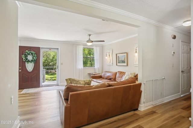 4068 Scenic Dr, Middleburg, FL 32068 - living area with light wood-style flooring, radiator, baseboards, ceiling fan, and crown molding