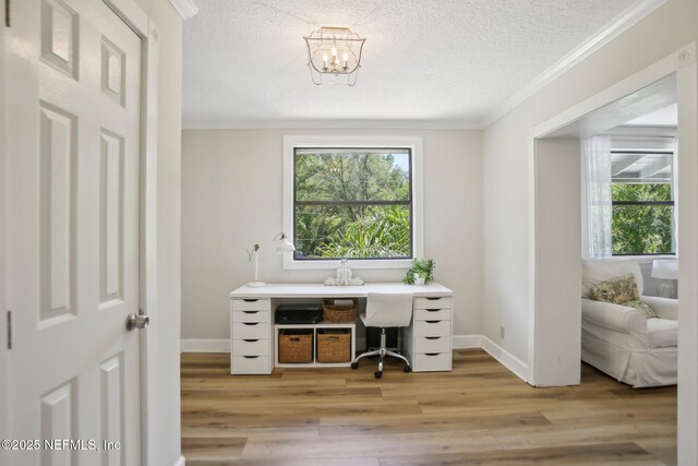 4068 Scenic Dr, Middleburg, FL 32068 - office space with baseboards, crown molding, wood finished floors, and a textured ceiling