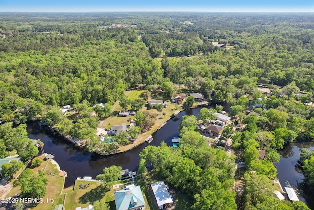 4068 Scenic Dr, Middleburg, FL 32068 - bird's eye view with a water view and a wooded view