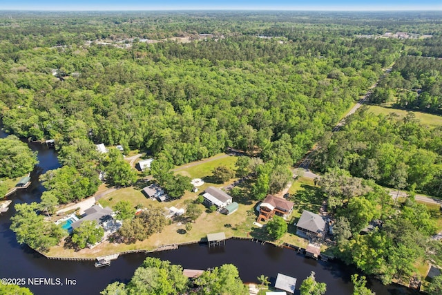 4068 Scenic Dr, Middleburg, FL 32068 - bird's eye view featuring a view of trees and a water view