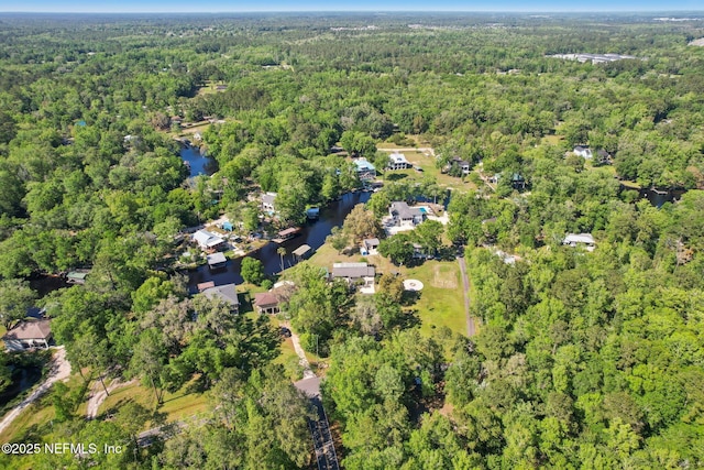 4068 Scenic Dr, Middleburg, FL 32068 - bird's eye view with a forest view and a water view