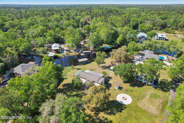 4068 Scenic Dr, Middleburg, FL 32068 - bird's eye view with a view of trees and a water view