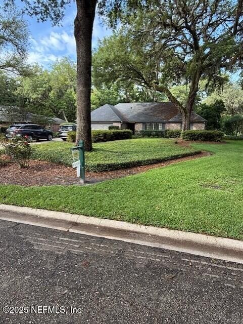 12186 Dividing Oaks Trl W, Jacksonville, FL 32223 - view of green lawn