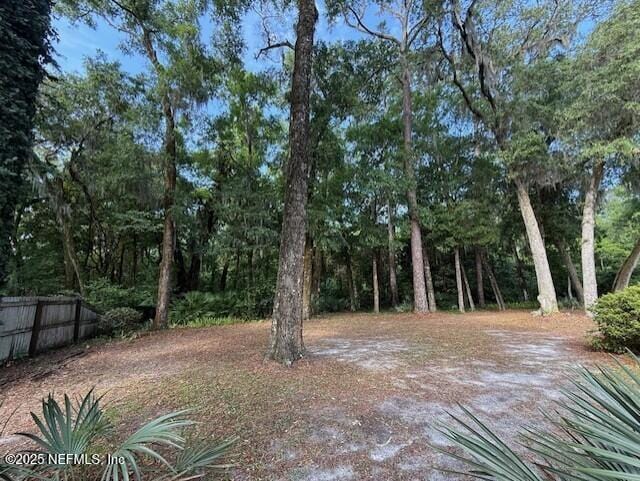12186 Dividing Oaks Trl W, Jacksonville, FL 32223 - view of yard with fence