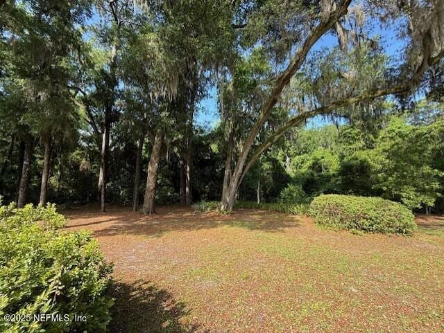12186 Dividing Oaks Trl W, Jacksonville, FL 32223 - view of yard