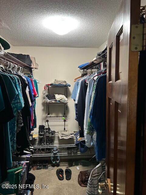 12186 Dividing Oaks Trl W, Jacksonville, FL 32223 - walk in closet with carpet flooring