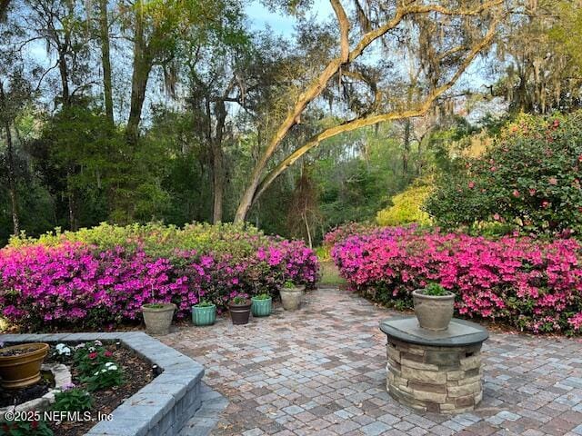 12186 Dividing Oaks Trl W, Jacksonville, FL 32223 - view of yard with a patio