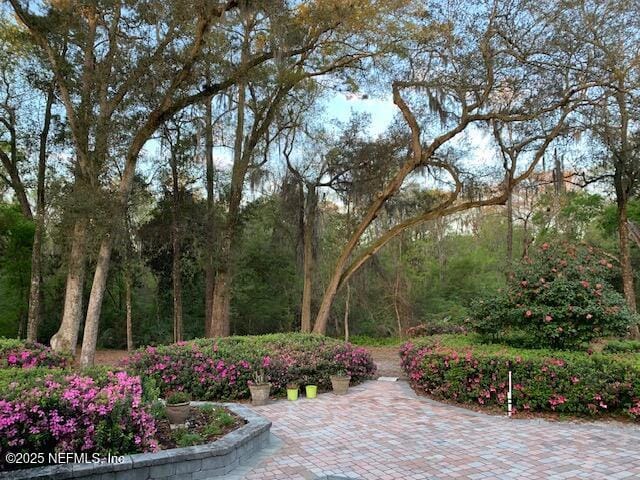12186 Dividing Oaks Trl W, Jacksonville, FL 32223 - view of home's community