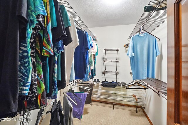12186 Dividing Oaks Trl W, Jacksonville, FL 32223 - photo 27